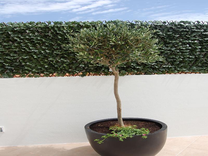 Villas Mare Residence Nazare Bagian luar foto